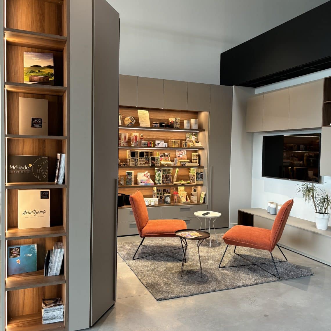 Mobilier et décorations : dressing, bibliothèque, living, canapés, tables, chaises, fauteuils, luminaires